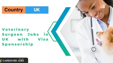 Photo of Veterinary Surgeon Jobs in UK with Visa Sponsorship 2025