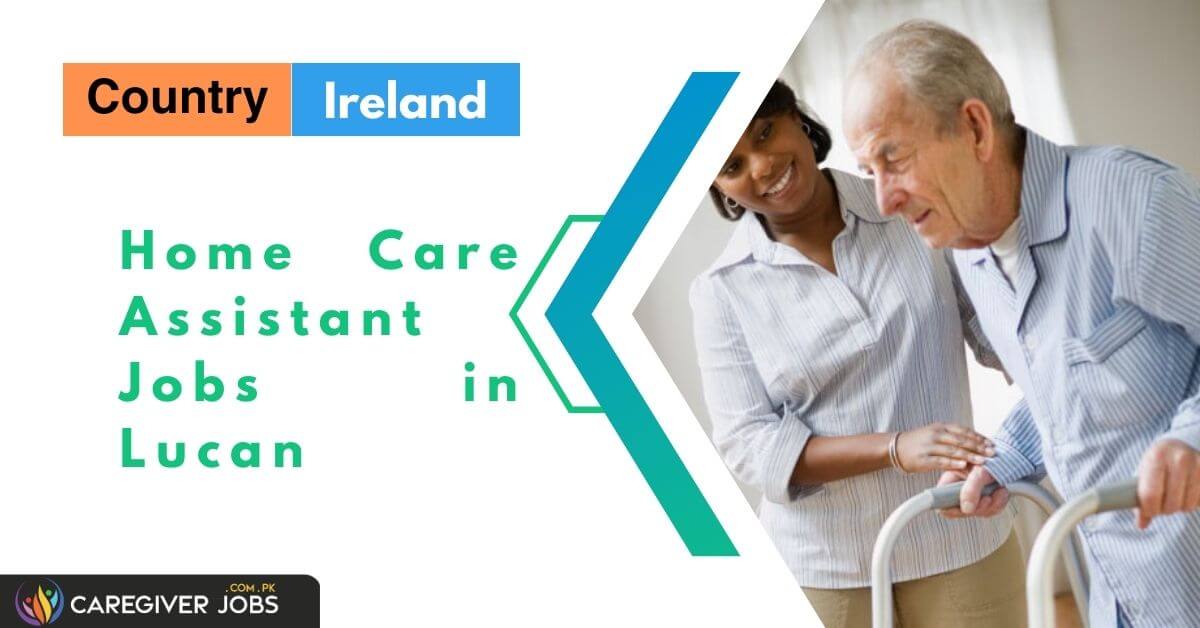 Home Care Assistant Jobs In Lucan 2024 Apply Now