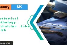 Photo of Anatomical Pathology Technician Jobs in UK 2025 – Apply Now