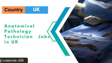 Photo of Anatomical Pathology Technician Jobs in UK 2024 – Apply Now