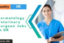 Photo of Dermatology Veterinary Surgeon Jobs in UK – Tier 2 Sponsorship