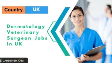 Photo of Dermatology Veterinary Surgeon Jobs in UK – Tier 2 Sponsorship