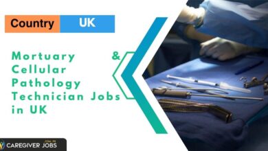 Photo of Mortuary & Cellular Pathology Technician Jobs in UK 2024